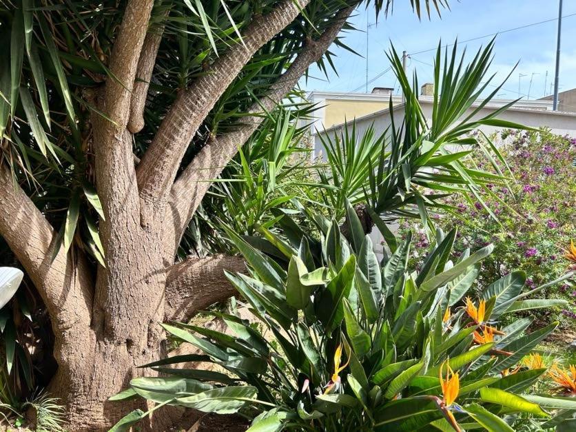 Apartamento Giardino A Mare Bari Exterior foto